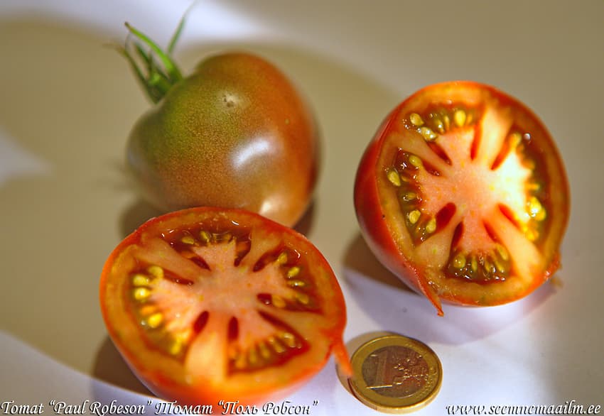 Tomato Paul Robeson Томат Поль Робсон